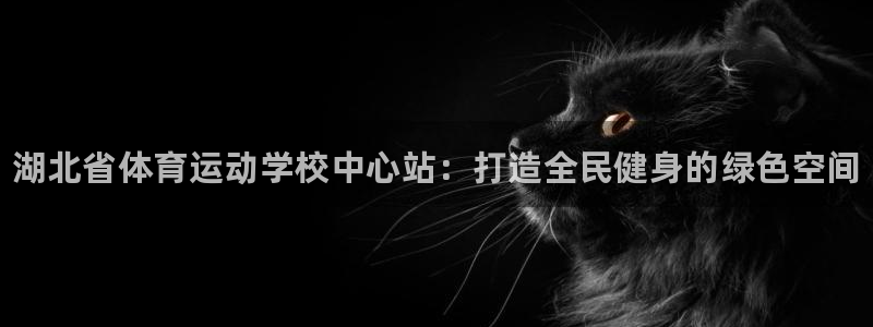 MK体育官方正版app娱乐是那个系列的台子：湖北省体