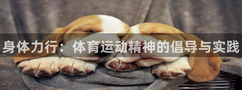 MK体育官网下载平台注册要钱吗：身体力行：体育运动精