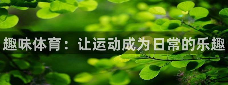 MK体育官方集团官网
