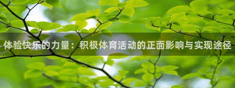 MK体育官网下载招商电话是多少啊
