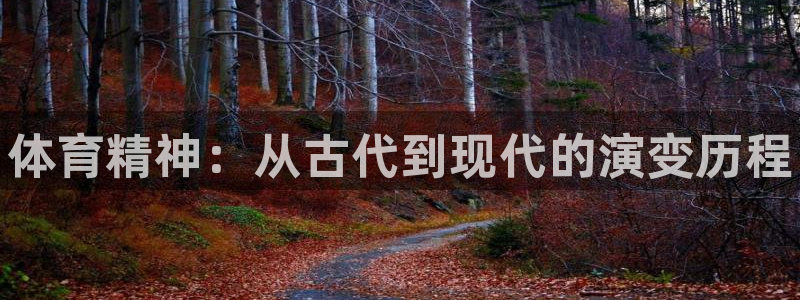 海南MK体育官网下载