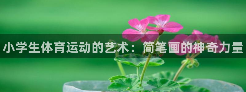 MK体育官网下载招商电话号码：小学生体育运动的艺术：