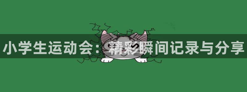 MK体育官方正版app开户
