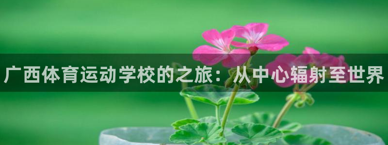 MK体育官方正版app科技