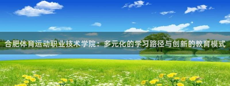 MK体育官网下载注册：合肥体育运动职业技术学院：多元化的学习