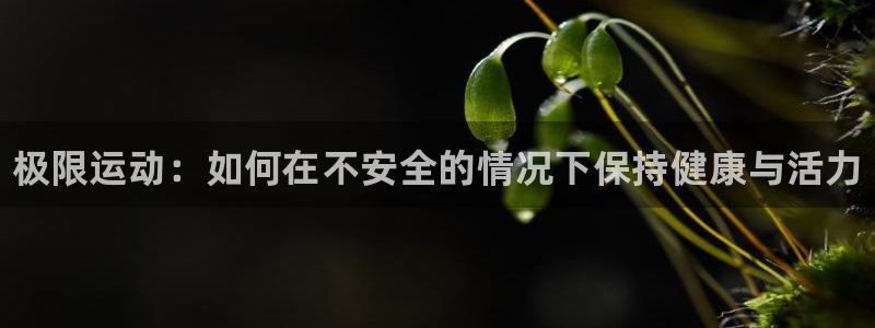 MK体育官网下载平台：极限运动：如何在不安全的情况下保持健康