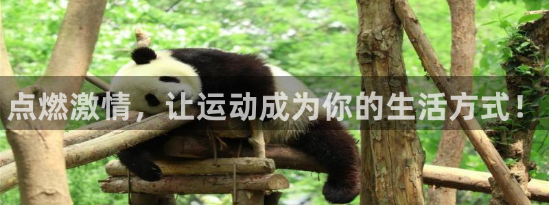 MK体育官方正版app娱乐首页网站大全：点燃激情，让运动成为