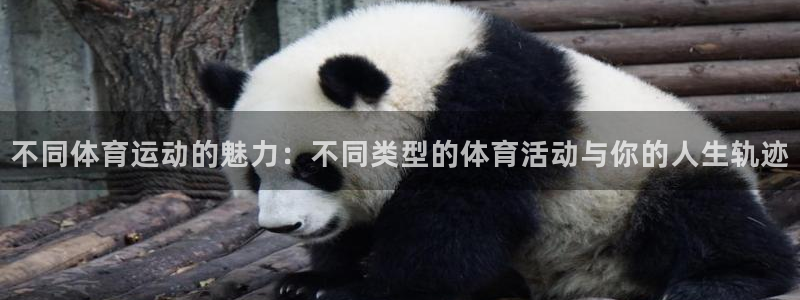 MK体育官方正版app科技：不同体育运动的魅力：不同