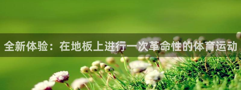 MK体育官网下载招商电话号码是多少啊：全新体验：在地板上进行