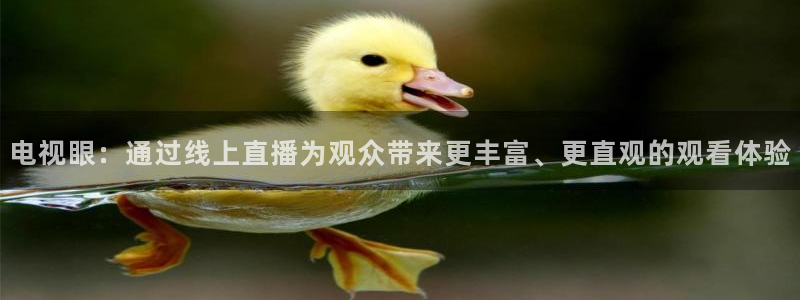 搜球吧nba在线直播：电视眼：通过线上直播为观众带来更丰富、更直观的观看体验
