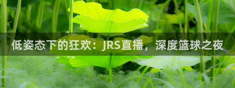 搜球8直播：低姿态下的狂欢：JRS直播，深度篮球之夜