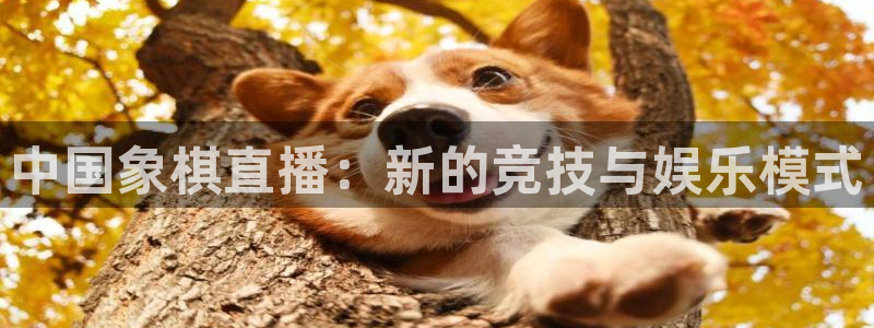 搜球吧直播nba直播：中国象棋直播：新的竞技与娱乐模式