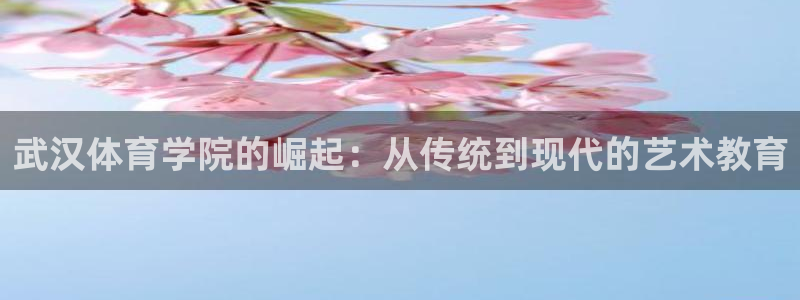 MK体育官方正版app代理