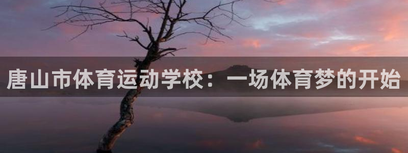 MK体育官方正版app代理：唐山市体育运动学校：一场体育梦的