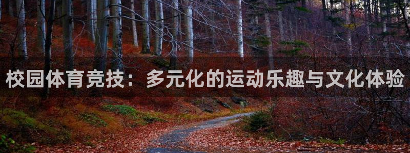 海南MK体育官网下载：校园体育竞技：多元化的运动乐趣与文化体