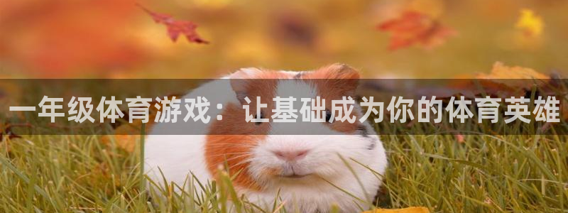 MK体育官网下载招商电话是多少