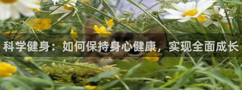 海南MK体育官网下载发展怎么样：科学健身：如何保持身心健康，