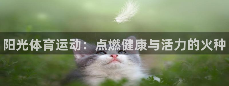 MK体育官方正版app娱乐平台