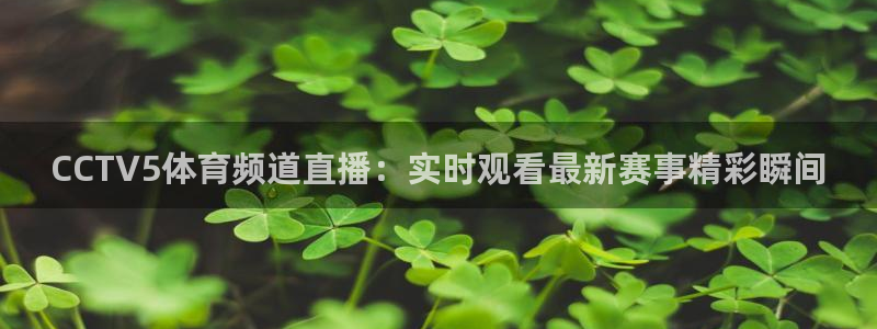 搜球体育直播