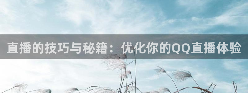 搜球直播体育