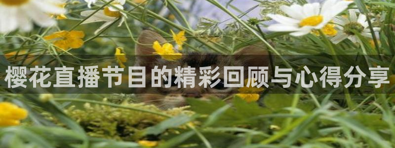 搜球吧直播：樱花直播节目的精彩回顾与心得分享
