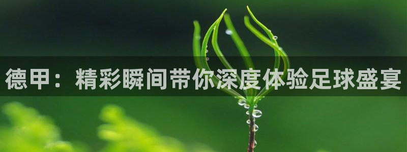 nba搜球吧直播：德甲：精彩瞬间带你深度体验足球盛宴