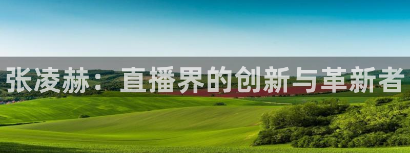 搜球吧nba视频直播：张凌赫：直播界的创新与革新者