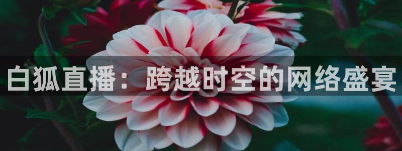 搜球体育直播app