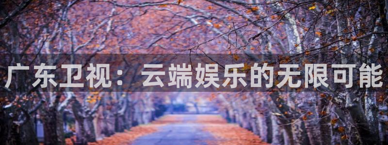 搜球吧直播nba