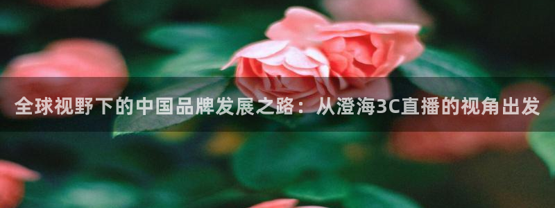 搜球体育：全球视野下的中国品牌发展之路：从澄海3C直播的视角出发