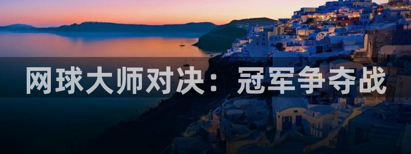 搜球吧nba视频直播：网球大师对决：冠军争夺战